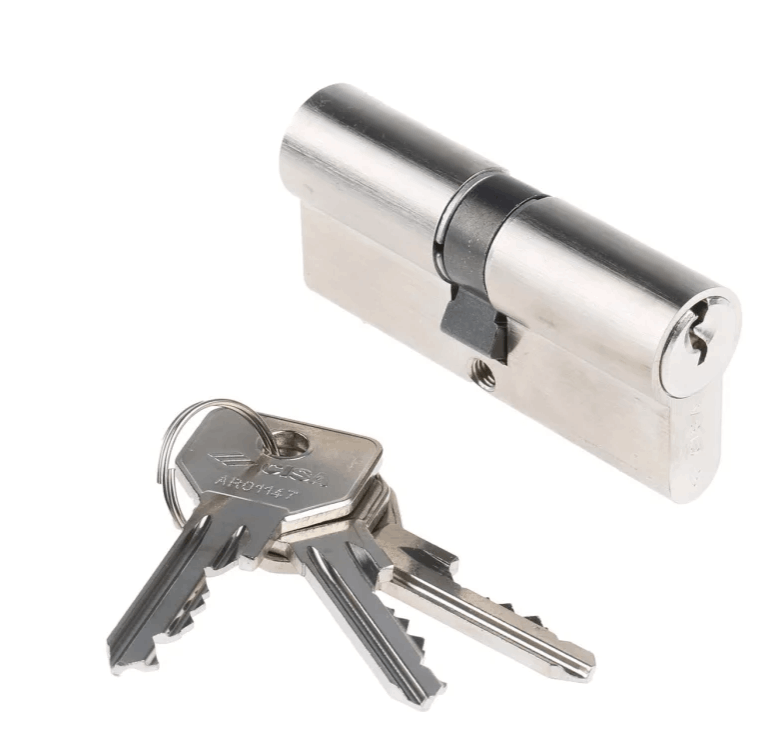 The image shows a cylindrical lock mechanism along with three keys attached to a keyring. The lock is metallic and appears to be a Euro cylinder lock, which is commonly used in door locking systems. The keys are also metallic and have a specific cut pattern that matches the lock. This image is relevant as it depicts a common security device used in residential and commercial properties.